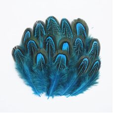 Декоративные перья фазана разноцветные 5-8 см. 20 шт. Голубые