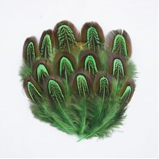 Декоративные перья фазана разноцветные 5-8 см. 20 шт. Зеленые