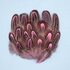 Декоративные перья Pheasаnt разноцветные 5-8 см. 20 шт. Розовые