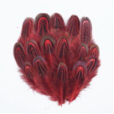 Декоративные перья фазана разноцветные 5-8 см. 20 шт. Красные