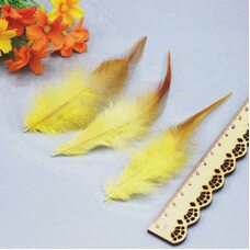 Перья петуха двухцветные 10-15 см. 50 шт. Желтый цвет