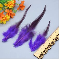 Перья петуха двухцветные 10-15 см. 50 шт. Фиолетовый цвет