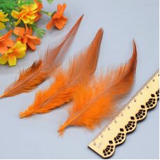 Перья петуха двухцветные 10-15 см. 50 шт. Оранжевый цвет