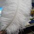 Премиум перья страуса 70-75 см. Белые