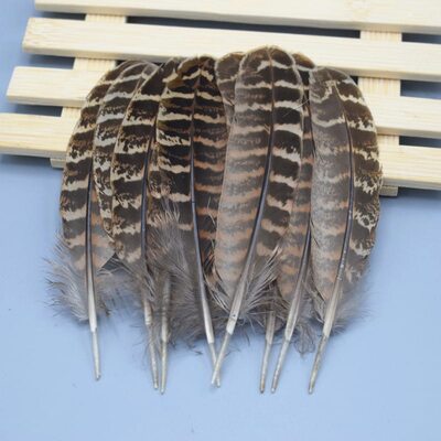 Декоративные перья Pheasаnt 10-15 см. 10 шт. Натуральный цвет