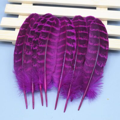 Декоративные перья Pheasаnt 10-15 см. 10 шт. Фуксия