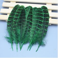 Декоративные перья фазана 10-15 см. 10 шт. Зеленые