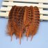 Декоративные перья Pheasаnt 10-15 см. 10 шт. Оранжевые