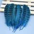 Декоративные перья Pheasаnt 10-15 см. 10 шт. Голубые