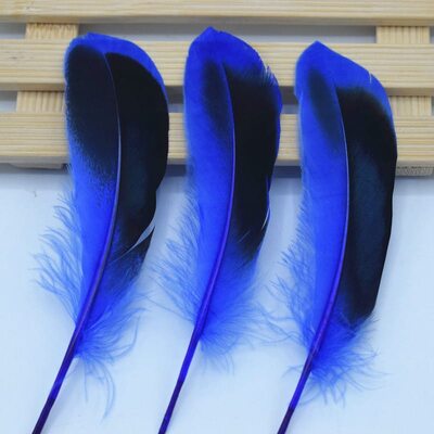 Перья утки 10-15 см. с отливом 10 шт. Синего цвета