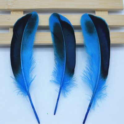 Перья утки 10-15 см. с отливом 10 шт. Голубой цвет