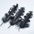 Перья гуся "кудри" 13-18 см. 10 шт. Черного цвета