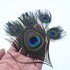 Перья павлина - Павлиний глаз 12-16 см. Натурального цвета