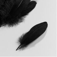Пушистые перья гуся 13-18 см, 20 шт. Черного цвета