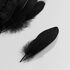 Пушистые перья гуся 13-18 см, 20 шт. Черного цвета