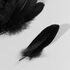 Набор перьев гуся 13-18 см, 20 шт, черные