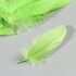 Пушистые перья гуся 13-18 см, 20 шт. Зеленое яблоко