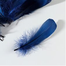 Набор перьев гуся 13-18 см, 20 шт, тёмно-синий