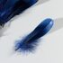 Набор перьев гуся 13-18 см, 20 шт, тёмно-синий