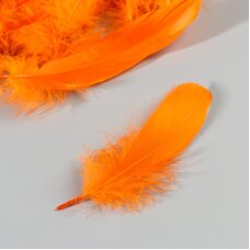 Набор перьев гуся 13-18 см, 20 шт, оранжевый