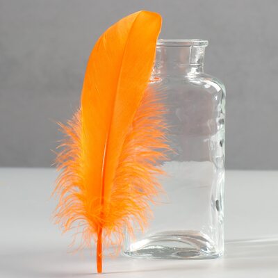 Пушистые перья гуся 13-18 см, 20 шт. Оранжевого цвета