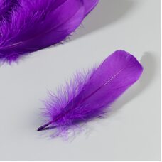 Набор перьев гуся 13-18 см, 20 шт, фиолетовый