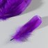 Пушистые перья гуся 13-18 см, 20 шт. Фиолетового цвета