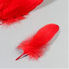 Набор перьев гуся 13-18 см, 20 шт, красный
