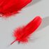 Набор перьев гуся 13-18 см, 20 шт, красный
