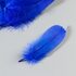 Набор перьев гуся 13-18 см, 20 шт, синий