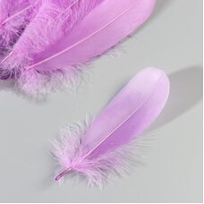 Набор перьев гуся 13-18 см, 20 шт, светло-фиолетовый