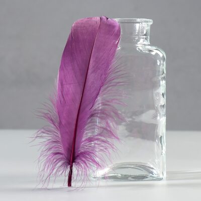Набор перьев гуся 13-18 см, 20 шт, тёмно-фиолетовый