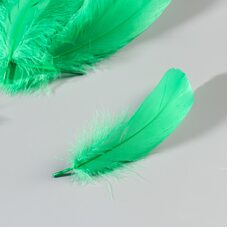 Набор перьев гуся 13-18 см, 20 шт, зелёный