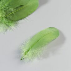 Набор перьев гуся 13-18 см, 20 шт, армейский зелёный