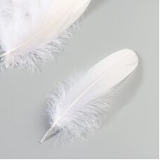 Пушистые перья гуся 13-18 см, 20 шт. Белого цвета