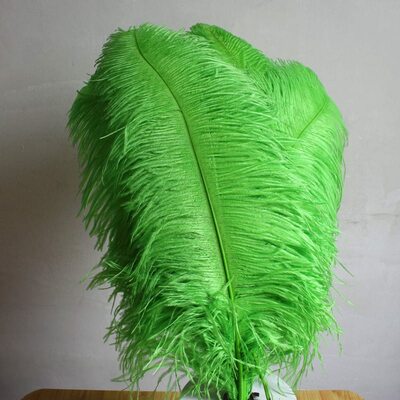 Премиум перья страуса 55-60 см. Салатовый цвет