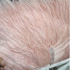 Тесьма из перьев страуса на ленте 8-10 см, 1м. - Бледно-розовый цвет