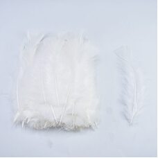 Плоские перья индейки 12-18 см. 20 шт. Белый цвет