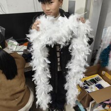 Боа из перьев петуха и индейки 80 гр., 2 м. - Белый цвет