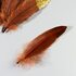Пушистые перья гуся 15-20 см, 10 шт. Коричневые с золотой крошкой