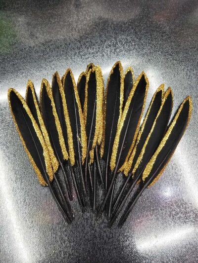 Перья утиные 10-15 см. 10 шт. Черные с золотым обрамлением