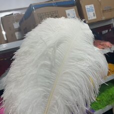 Премиум перья страуса 60-65 см, 1 шт., Белый цвет