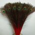 Перья павлина 70-80 см. Красный цвет 