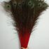 Перья павлина 70-80 см. Красный цвет 