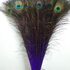 Перья павлина 70-80 см. Фиолетовый цвет 