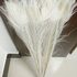 Белый перья павлина 70-80 см. Салатовый цвет 