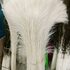 Белый перья павлина 70-80 см. Салатовый цвет 