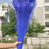 Цветные перья павлина 70-80 см. Синий цвет 