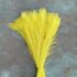 Цветные перья павлина 70-80 см. Желтый цвет 