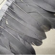 Тесьма из перьев гуся на ленте 15-20 см, 1м. Серый цвет